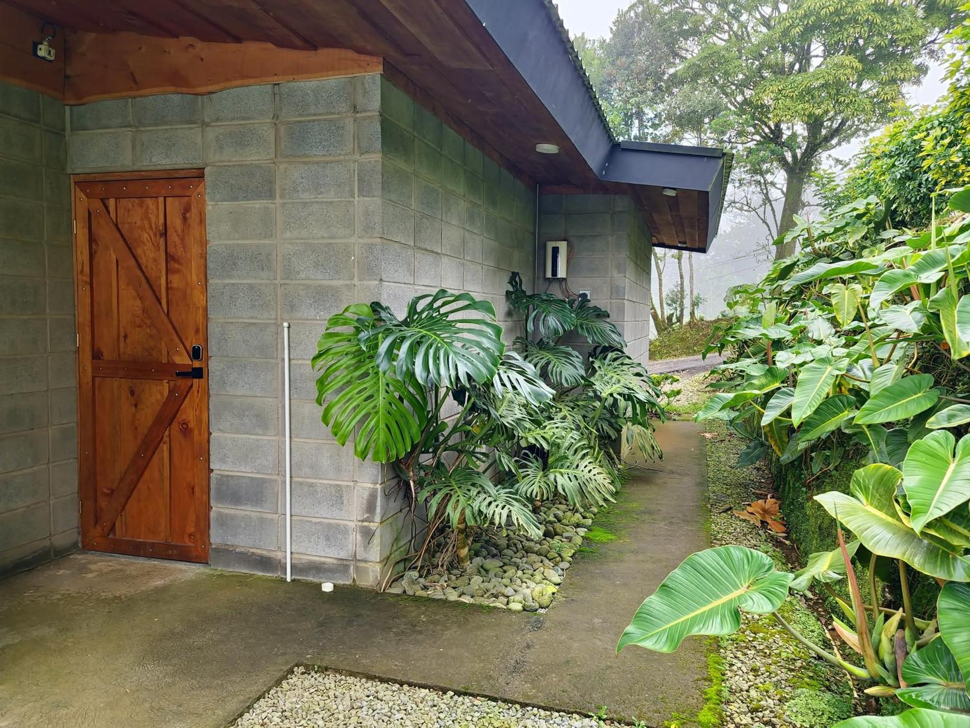 Espectacular Cabana Moderna De Montana + Bosque Nuboso +Wifi Zarcero Esterno foto
